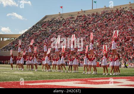 Bloomington, Stati Uniti. 16 ottobre 2021. I cheerleaders dell'Indiana University si spiegano, "Indiana", mentre gli Hoosiers giocano contro il Michigan state durante una partita di football NCAA al Memorial Stadium di Bloomington. (Ind. IU Lost to Michigan state 20-15) Credit: SOPA Images Limited/Alamy Live News Foto Stock