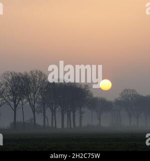 Alba suggestiva sopra un piccolo viale rurale in una mattinata di nebbia da qualche parte in Germania. Foto Stock