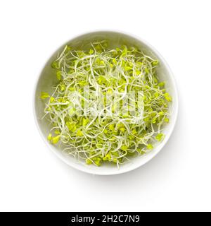 Germogli di broccoli freschi in un recipiente bianco isolato su sfondo bianco. Vista dall'alto Foto Stock