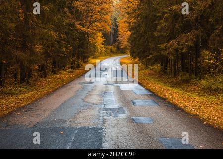 apparentemente infinita strada di campagna curva con alberi in autunno Foto Stock