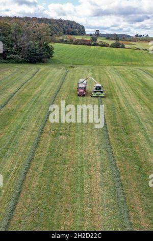 Clymer, New York - Alfalfa raccolto in una fattoria nella parte occidentale di New York. Foto Stock