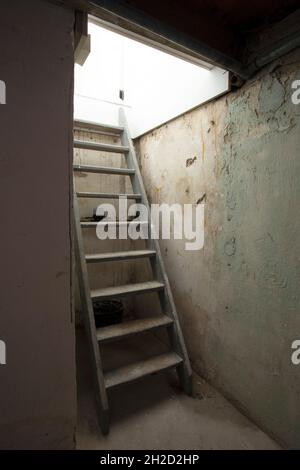 Cantina scale in legno che conducono al piano inferiore in pietra e mattoni in seminterrato scuro, vecchio edificio abbandonato Foto Stock