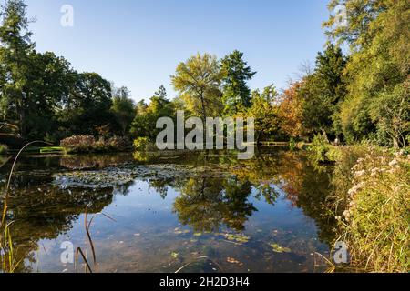 Longstock acqua parco giardino, John Lewis Leckford station wagon, Stockbridge, Hampshire, Inghilterra, Regno Unito Foto Stock