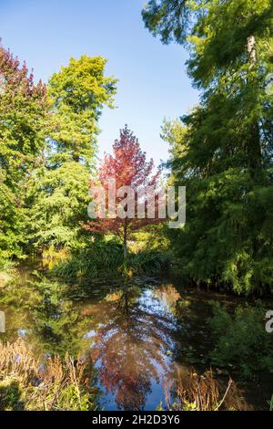 Longstock acqua parco giardino, John Lewis Leckford station wagon, Stockbridge, Hampshire, Inghilterra, Regno Unito Foto Stock