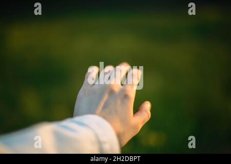 mano di giovane donna in campo Foto Stock