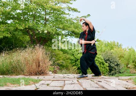 Donna che addestrano kung fu con una spada in un parco Foto Stock