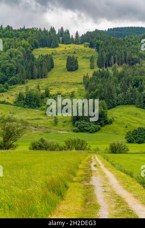 Scenario idilliaco intorno a Immenstadt, una città dell'Alto Allgaeu in Baviera, Germania Foto Stock