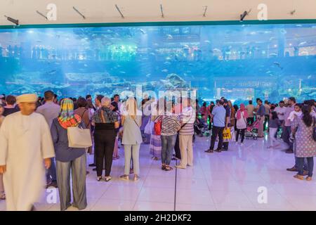 DUBAI, Emirati Arabi Uniti - 10 MARZO 2017: La gente guarda il Dubai Aquarium Underwater Zoo nel Dubai Mall, uno dei centri commerciali più grandi del mondo. Foto Stock