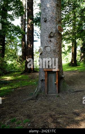 Piccola porta fiabesca in legno in un tronco d'albero nella foresta magica Foto Stock