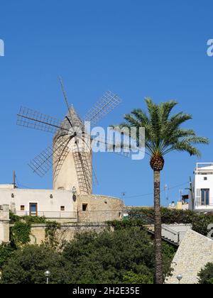 Mulino medievale a vento a Paseo Maritimo a Palma di Maiorca, Spagna Foto Stock