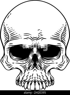 Cranio Old Vintage Woodcut Etching stile incisione Illustrazione Vettoriale