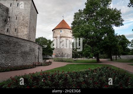 Kiek in de Kok torre medievale di artiglieria - Tallinn, Estonia Foto Stock