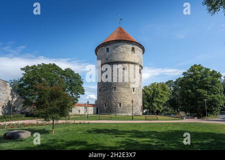 Kiek in de Kok torre medievale di artiglieria - Tallinn, Estonia Foto Stock
