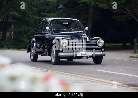 Reocin, Cantabria, Spagna - 2 ottobre 2021: Mostra di veicoli classici. La Peugeot 203 è una vettura prodotta dal costruttore francese tra il 1948 Foto Stock