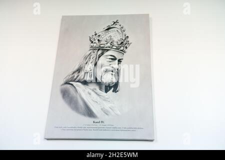 Ritratto di Carlo IV nel muro scolastico ceco Foto Stock