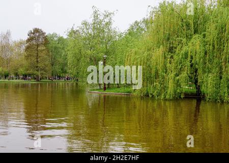 Paesaggio con acqua e verdi salici piangenti sulla riva del lago Titan nel Parco Alexandru Ioan Cuza (IOR) a Bucarest, Romania, in un clou Foto Stock