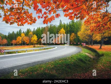 Strada in autunno foresta. Bella strada di montagna vuota Foto Stock