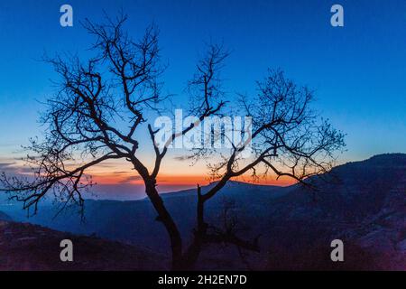 Tramonto dietro un albero al canyon di Wadi Dana nella Riserva della Biosfera di Dana, Giordania Foto Stock