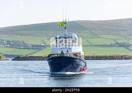 La nave passeggeri 'Draiocht' per l'osservazione dei delfini che ritorna a Dingle Marina, Dingle (un Daingean), Penisola di Dingle, Contea di Kerry, Repubblica d'Irlanda Foto Stock