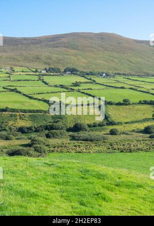 Vista panoramica della campagna, Penisola di Dingle (Corca Dhuibhne), Contea di Kerry, Repubblica d'Irlanda Foto Stock