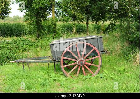 Primo piano di un vecchio carrello a due ruote in legno su un campo erboso con alberi frondosi Foto Stock