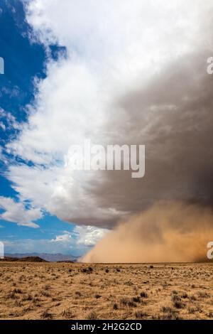 Una tempesta di polvere haboob nel deserto di Mohave vicino Kingman, Arizona Foto Stock