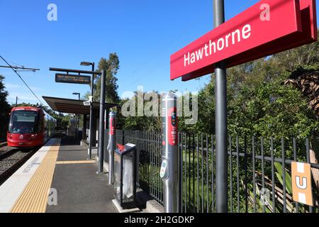 Hawthorne Light Rail Station a Leichhardt, Sydney, NSW, Australia Foto Stock