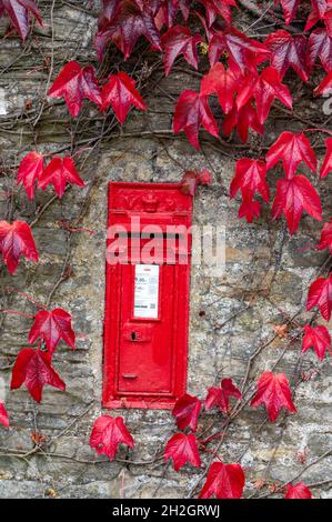 Una casella posta rossa murata Royal Mail circondata da edera di colore autunnale su una parete di uno dei cottage nella frazione di Thwaite in Swaledale, parte di t Foto Stock