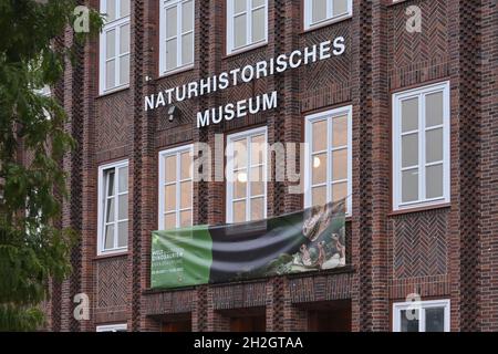 Naturhistorisches Museum Braunschweig, Museo di Storia Naturale dello Stato di Braunschweig, Germania. Museo di zoologia scientifica, fondato nel 1754. Foto Stock