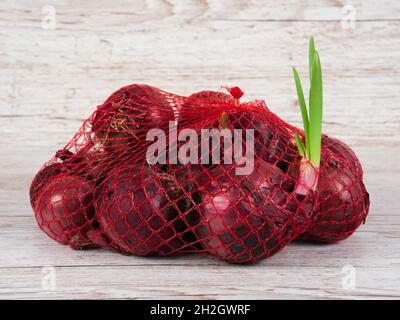 Una piccola borsa con cipolle rosse Foto Stock