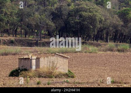 cabina abbandonata in campagna sulla costa brava in spagna in una giornata estiva Foto Stock