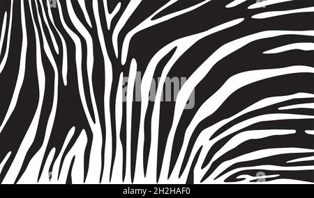 Zebra skin background (stampa animale) Illustrazione Vettoriale