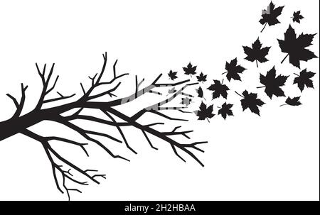 Diramazione con illustrazione vettoriale delle foglie in caduta Illustrazione Vettoriale