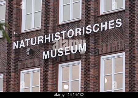 Naturhistorisches Museum Braunschweig, Museo di Storia Naturale dello Stato di Braunschweig, Germania. Museo di zoologia scientifica, fondato nel 1754. Foto Stock