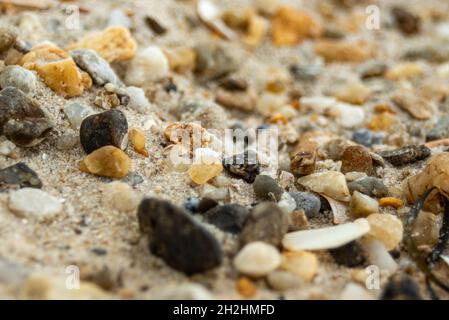 Ciottoli , conchiglie e sabbia in abbondanza. Foto Stock