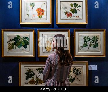 Londra, Regno Unito. 22 ottobre 2021. Una collezione di opere nella vendita 'in an Indian Garden' - Anteprima per le Arti del mondo islamico & India vendita a Sotheby's London. Oltre 1,000 anni di oggetti storici, dipinti e manoscritti saranno venduti il 27 ottobre. Credit: Guy Bell/Alamy Live News Foto Stock