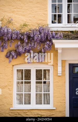 Cotswold cottage in pietra con glicine, Tetbury, Gloucestershire, Regno Unito Foto Stock