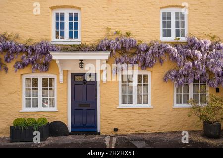 Cotswold cottage in pietra con glicine, Tetbury, Gloucestershire, Regno Unito Foto Stock