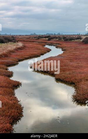 Colpo verticale di un fiume stretto attraverso terra erbosa sotto un cielo nuvoloso Foto Stock