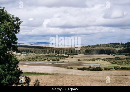 Segur les Villas (Francia centro-meridionale): Zone umide della Riserva Naturale Regionale “Reserve naturelle regionale des tourbieres du Jolan et de la Gazelle Foto Stock