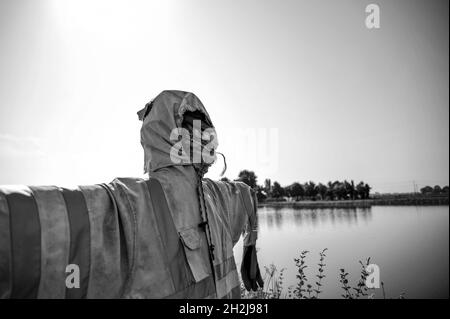 Un vero e proprio capriolo con il volto spaventoso davanti al lago - Halloween Concept - filtro bianco e nero Foto Stock