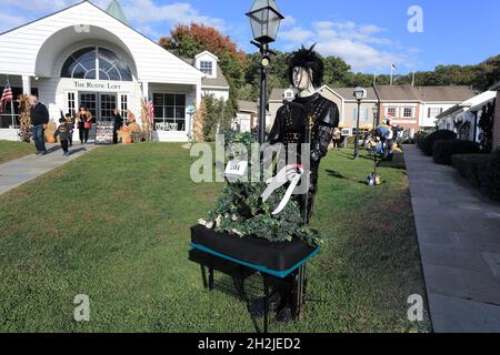 Stony Brook Village Long Island New York Foto Stock