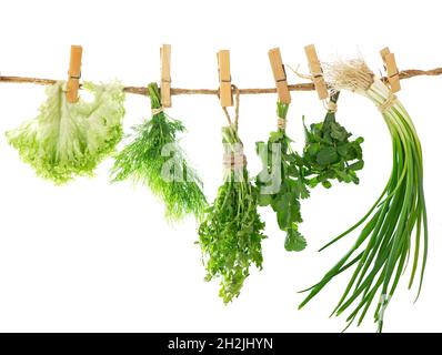 Set di erbe di spezie isolate su grappoli bianchi di timo, basilico, origano, prezzemolo Foto Stock