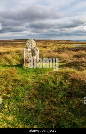 Il contrassegno di percorso 'Fat Betty' su Danby High Moor nel North York Moors National Park, North Yorkshire, Inghilterra Foto Stock