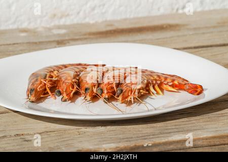 Gamberi freschi della tigre su un piatto bianco. Foto Stock