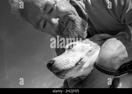 Uomo maturo con barba che abbraccia il suo vecchio cane Beagle Foto Stock
