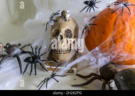 decorazione e concetto di festa, tema di halloween, zucca arancione e cranio avvolto in ragnatela, attacco ragno, festa di halloween Foto Stock