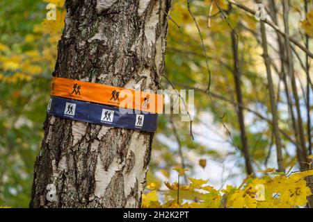 PARTILLE, SVEZIA - Ott 21, 2021: Marcatura nastro del trekking, sentieri Gotaleden e Bohusleden in Svezia. Segni sul tronco dell'albero per mostrare la righ Foto Stock