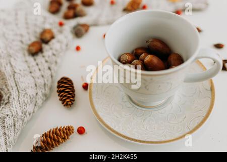 Tazza da tè bianca e dorata riempita di ghiande su sfondo bianco Foto Stock
