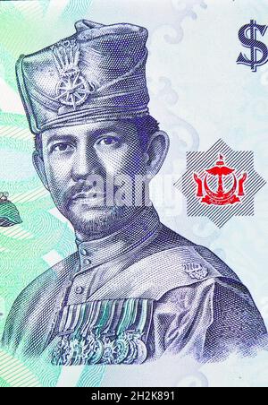 1 banconota da Ringgit/Dollar Polymer, Bank of Brunei Darussalam, closeup Bill Fragment mostra Simpor Bini (Dillenia suffruticosa), Sultan Hassan al-Bolkia Foto Stock